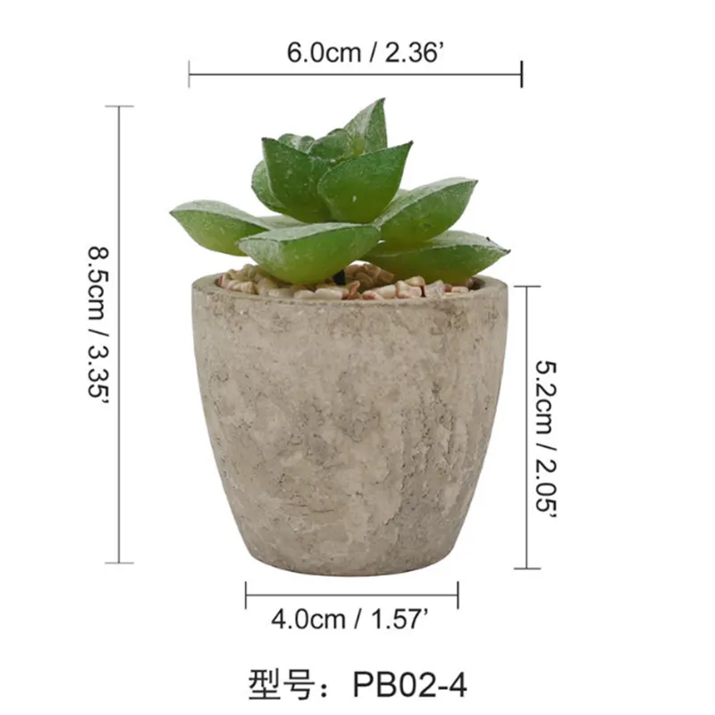 Livingroom Wholesale Succulent Plant Pot Gift for Indoor Home and Office Decoration