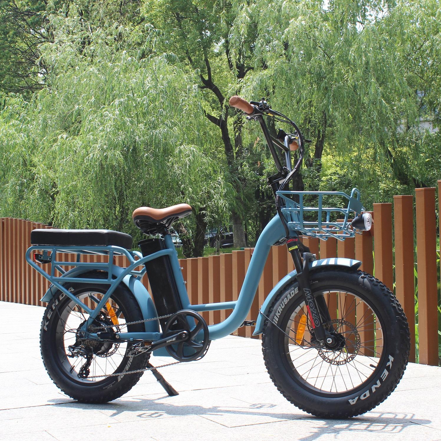 High Quality 350W Ebike 48V Cargo E Bike 20 Inch Aluminum oy Frame Electric Bike With Carrier