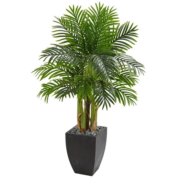 Kentia Palm Artificial Tree in Black Planter