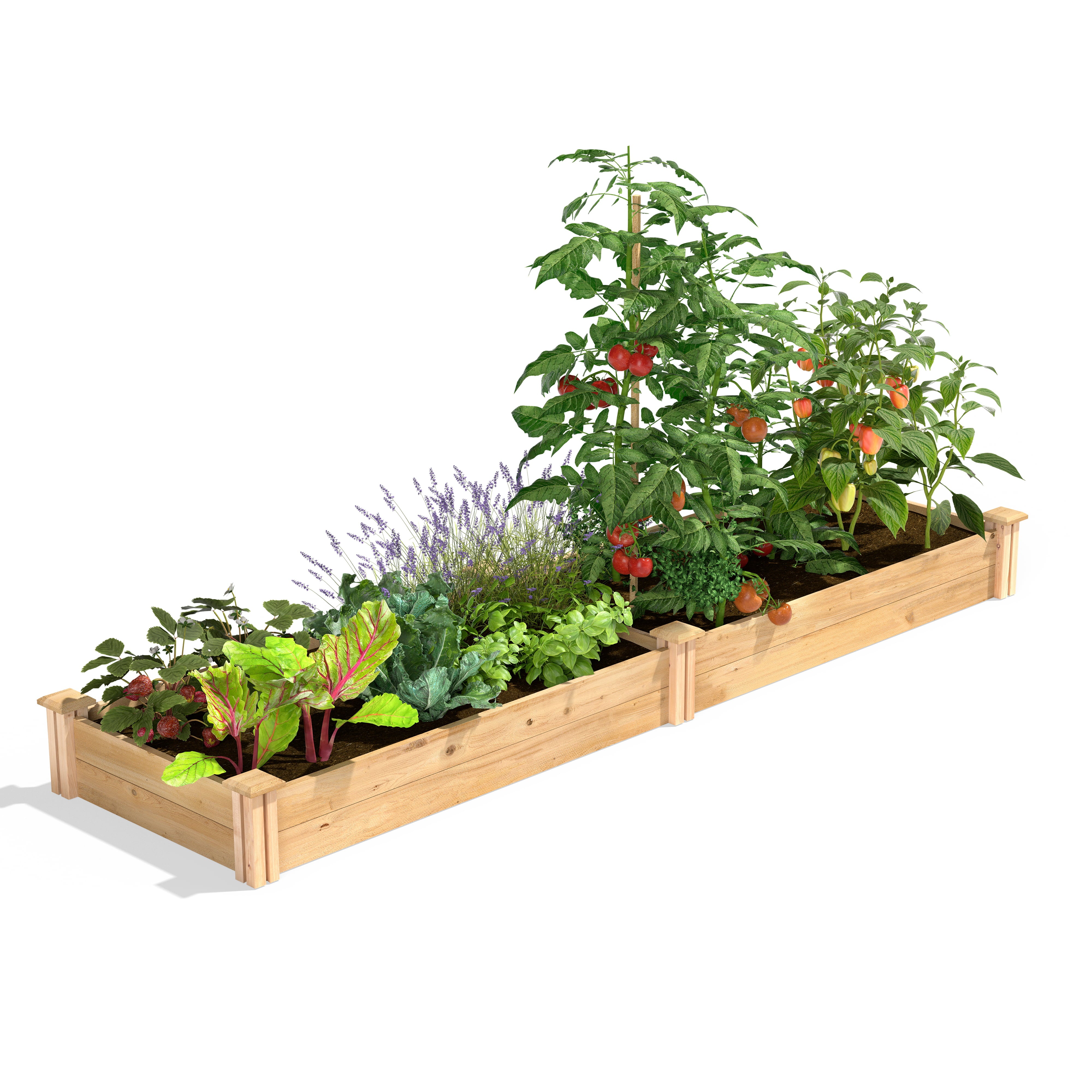 Greenes Fence 2' x 8' x 7" Cedar Raised Garden Bed