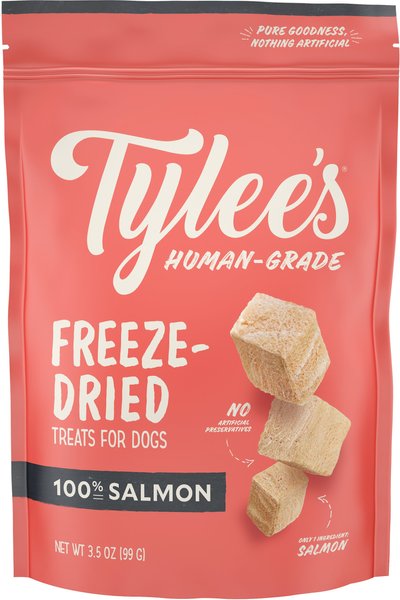 Tylee's Salmon Human-Grade Freeze-Dried Dog Treats