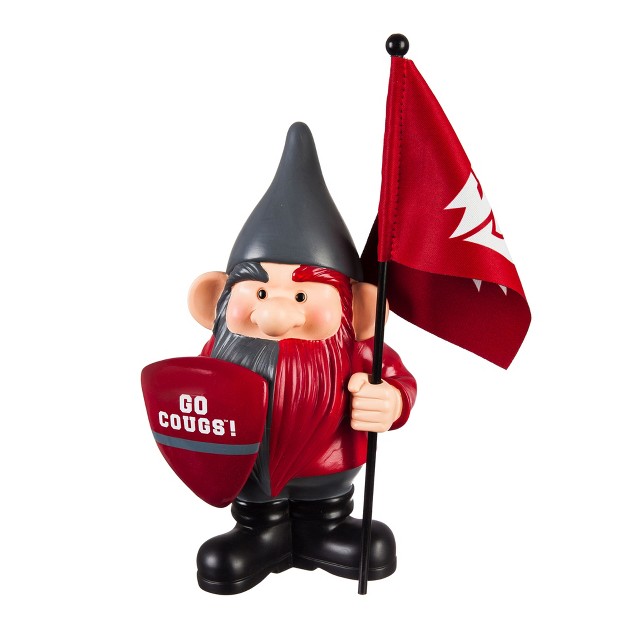 Evergreen Washington State University Flag Holder Gnome