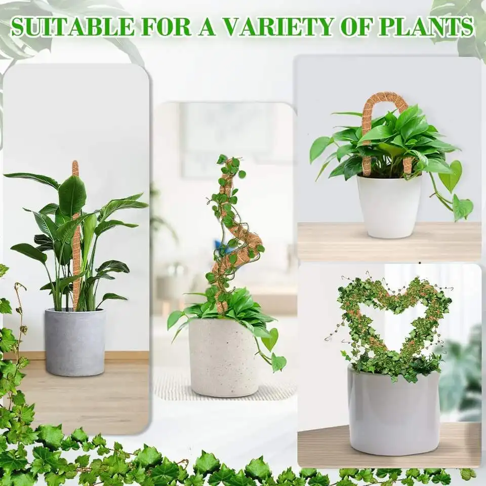 Most Popular In 2023 Factory Good Price Garden Supplies Plant Climbing Pole Garden Coir Totem Pole Moss Pole Indoor Or Outdoor