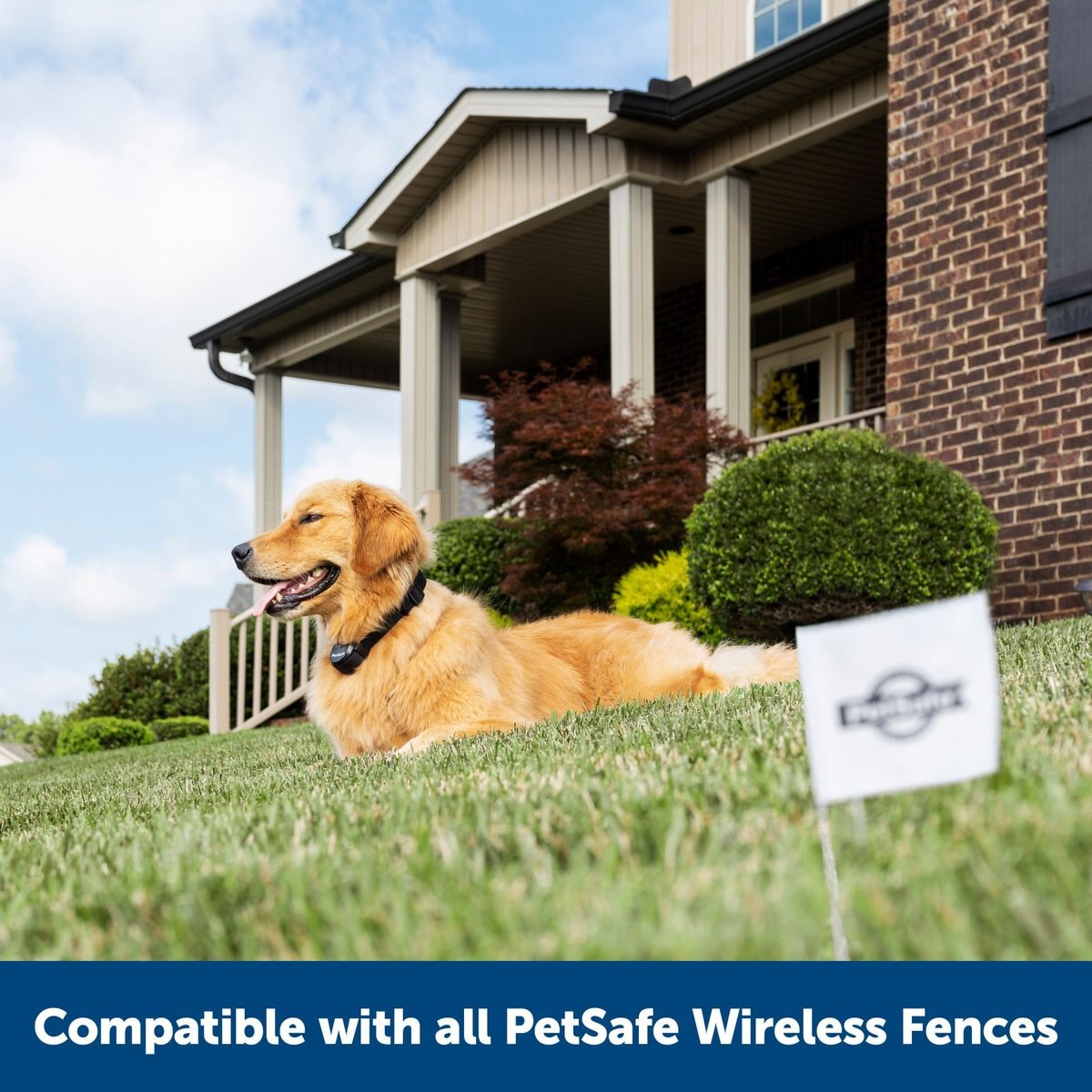 PetSafe Stay+Play Wireless Fence Receiver Collar