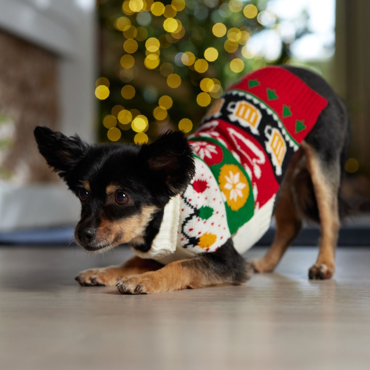 Frisco Striped Festive Dog and Cat Ugly Sweater