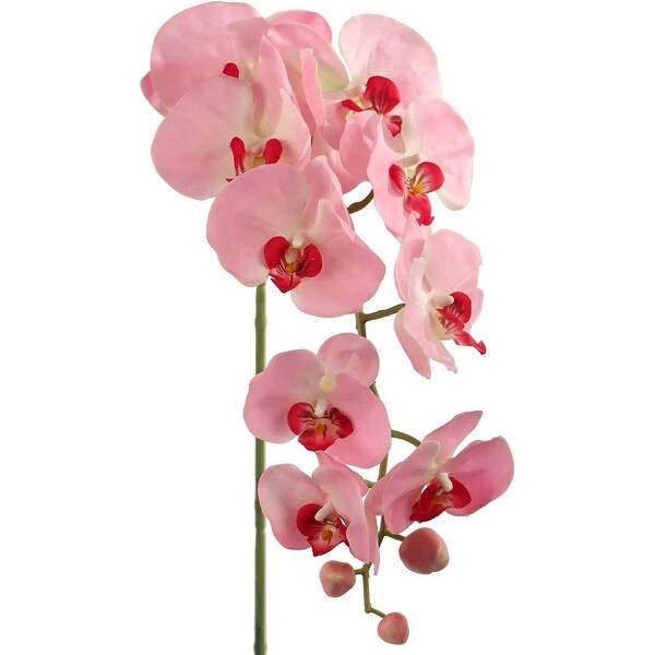 Floral Home Artificial phalaenopsis Orchid Stems 33.5 Tall