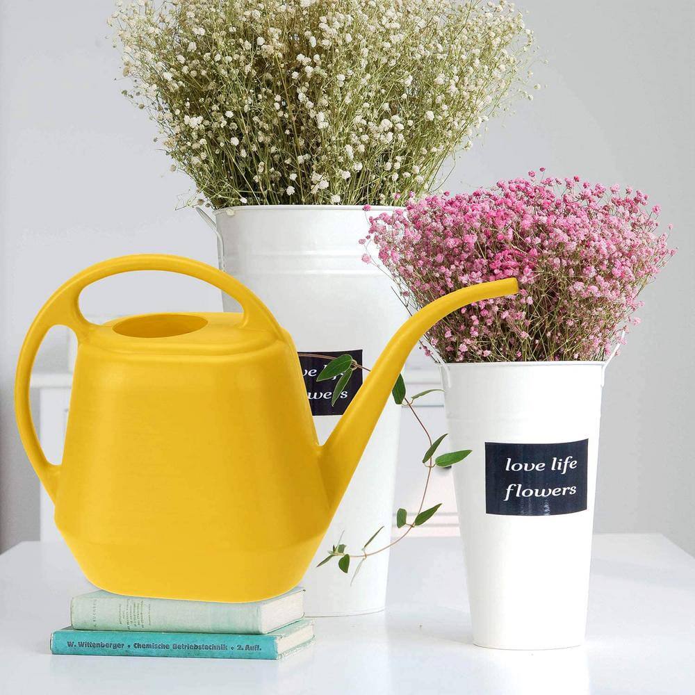 Cubilan 1 Gal. Yellow Plastic Watering Can B08CDS9GGZ