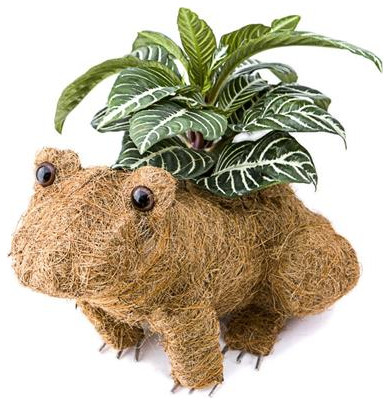 Ultimate Innovations  Coco Animal Planter   Frog   Contemporary   Outdoor Pots And Planters   by UnbeatableSale Inc.  Houzz