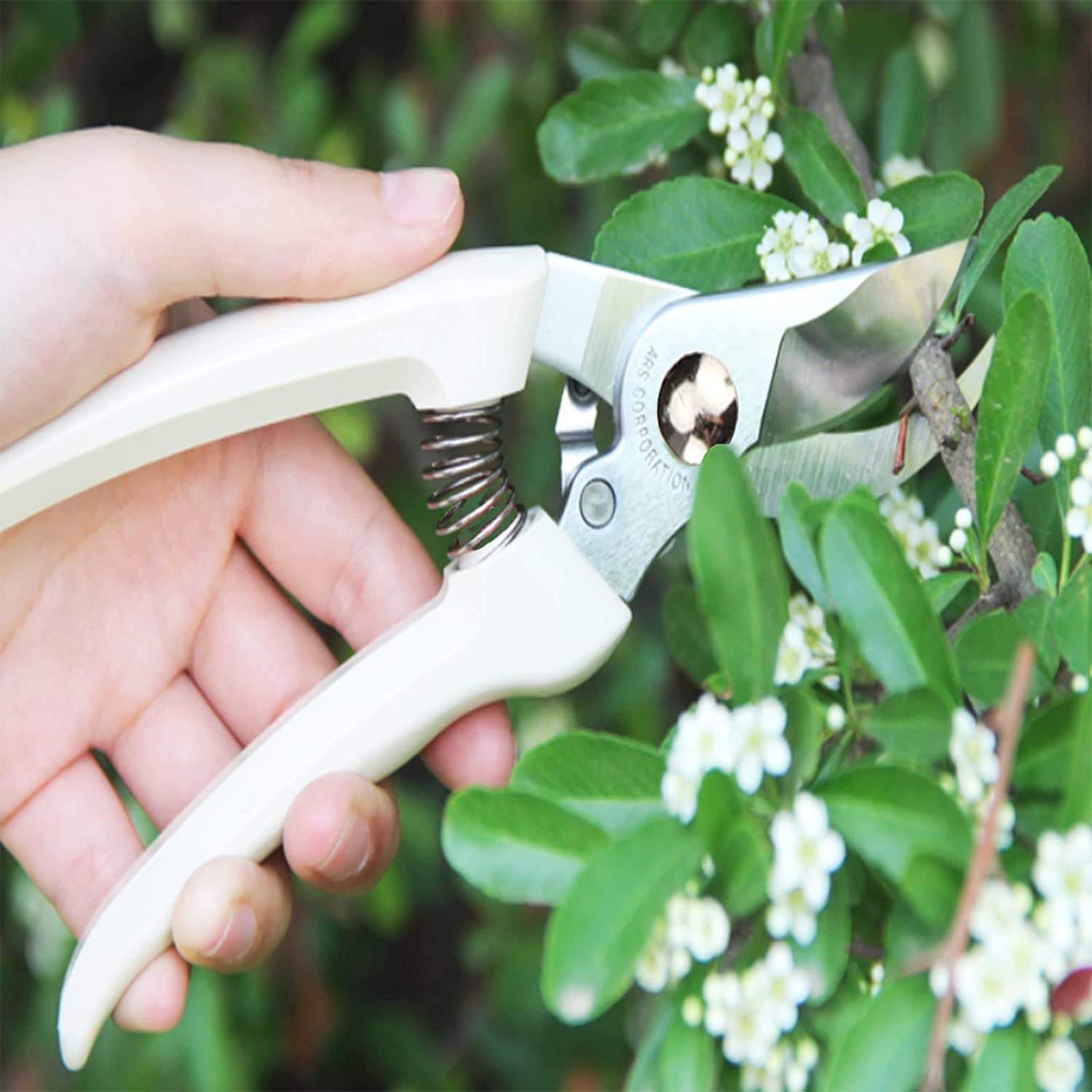 Rush To Sky Premium Pruning Shears, Scissors Gardening Tools, Garden Clippers Trimming Floral, Rose, Flower Stem, Tree and Indoor Live Plant, Hand Pruners, Florist Snips Set, Small Trimmer, 2 Pack