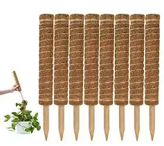 Good QualityCoir Pole SticksDiscover The Beauty Of Coco Pole Sticks For SalePlanting Paradise CocoCoir Poles At Wholesaleprice