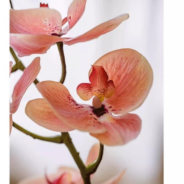 Artificial Butterfly Orchid Stem in Pink 27.5 Tall