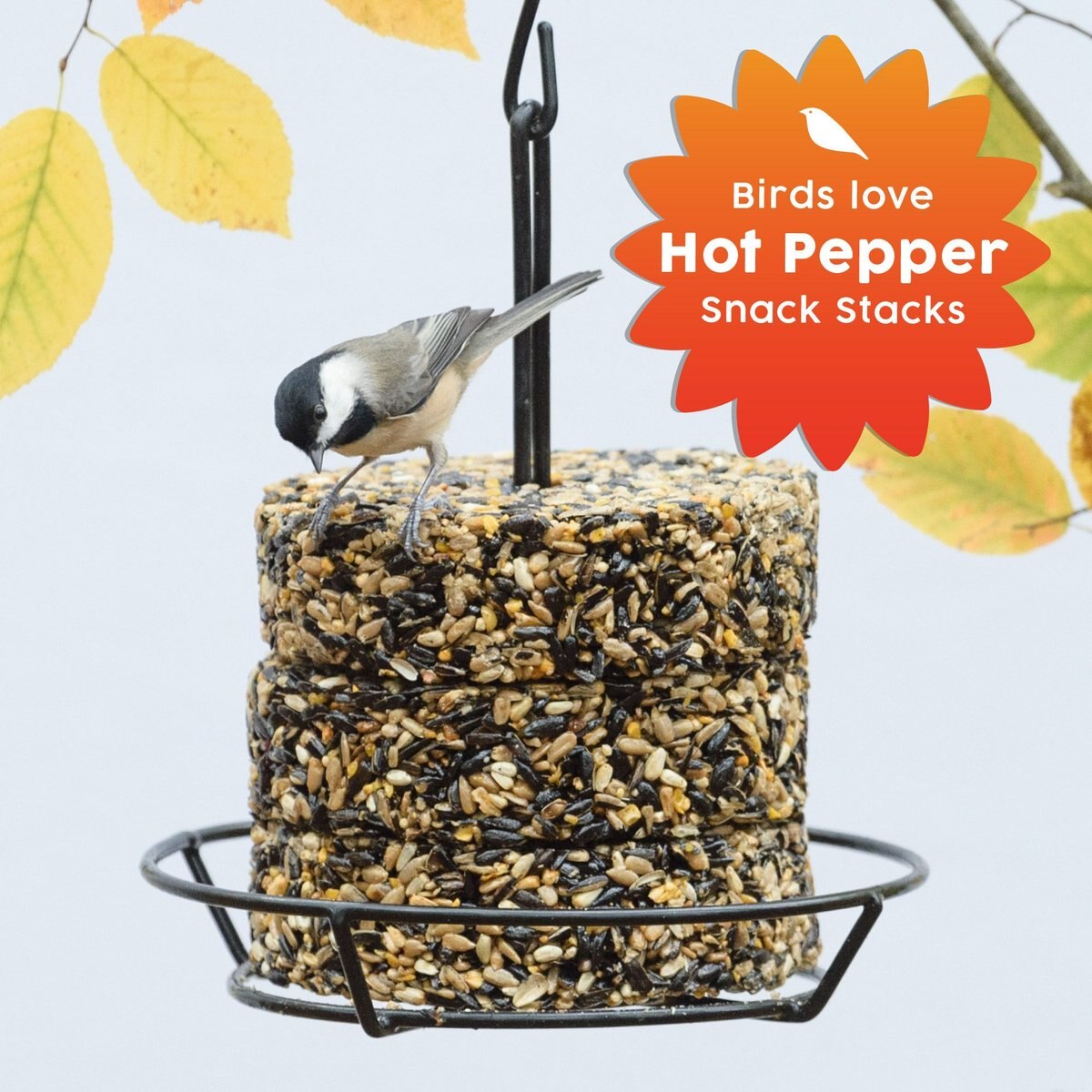 Harvest Seed and Supply Hot Pepper Snack Stack Wild Bird Food， 9-oz cake， pack of 6