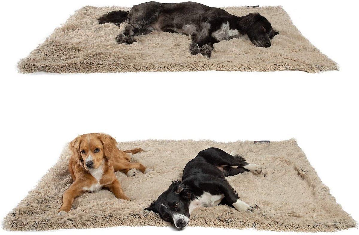 Best Friends by Sheri Throw Shag Dog and Cat Blanket