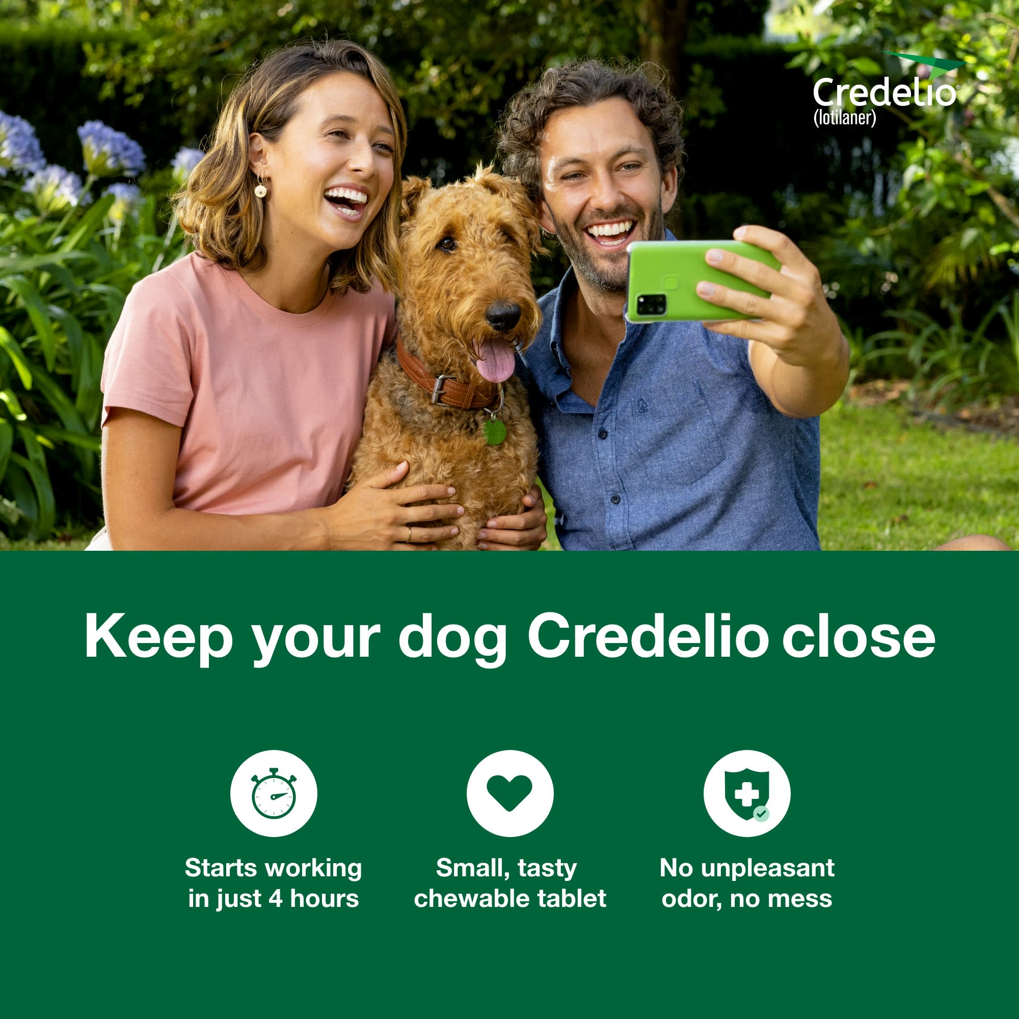 Credelio Chewable Tablets for Dogs 12.1-25 lbs， 1 Month Supply