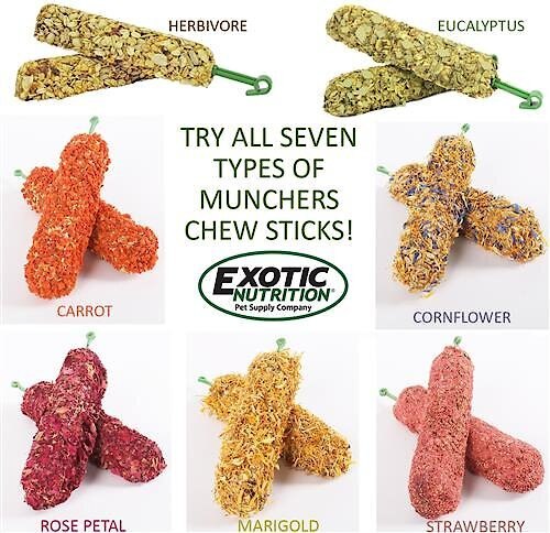 Exotic Nutrition Munchers Sticks w/ Strawberry Small Pet Treats， 2 count