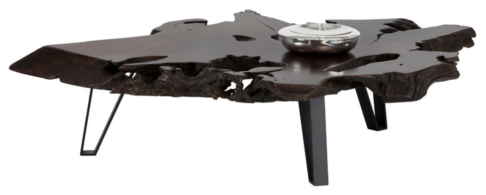 Rusteak Coffee Table   Rustic   Coffee Tables   by HedgeApple  Houzz