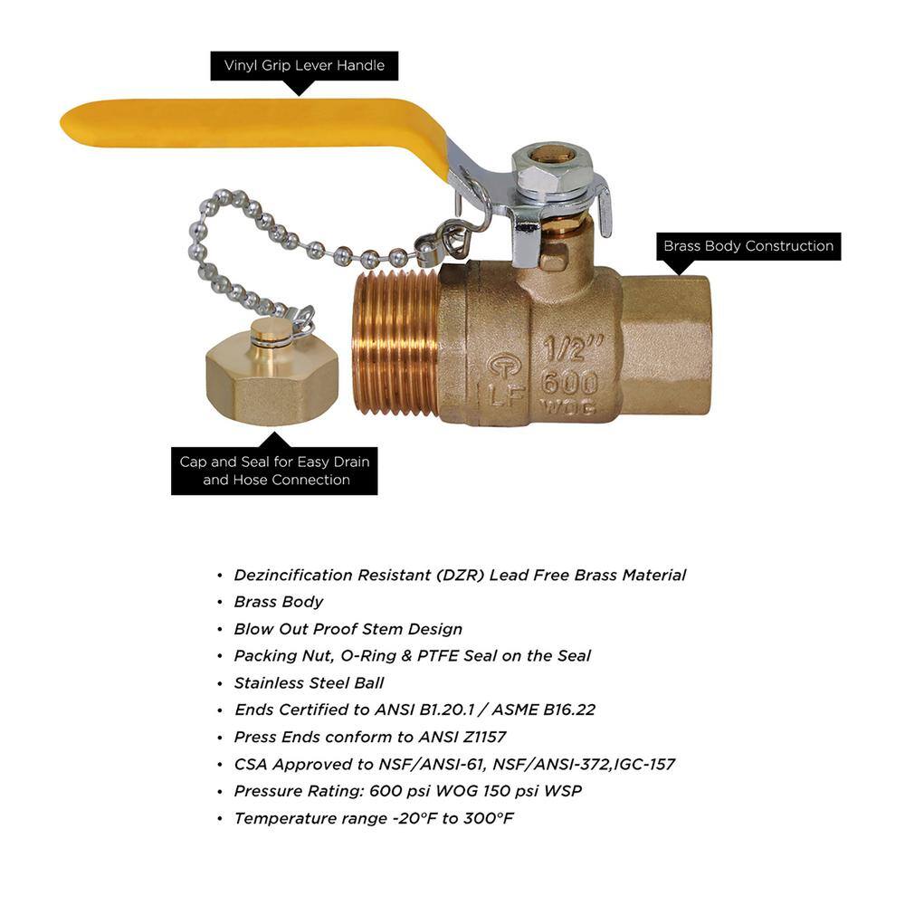 The Plumber's Choice 34 in. FIP x 34 in. Hose Premium Brass Full Port Hose Ball Valve with Chain and Cap 256VBHT