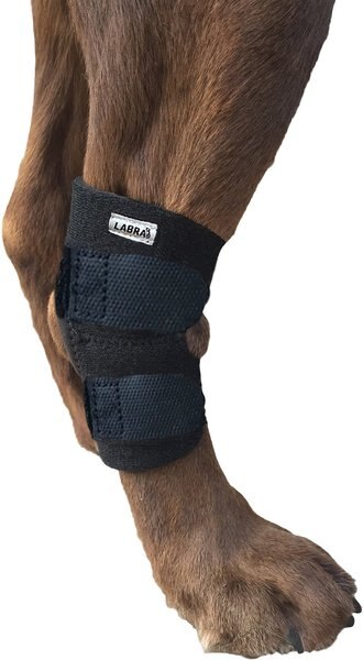 Labra Lightweight Dog Hock Brace with Flex Straps