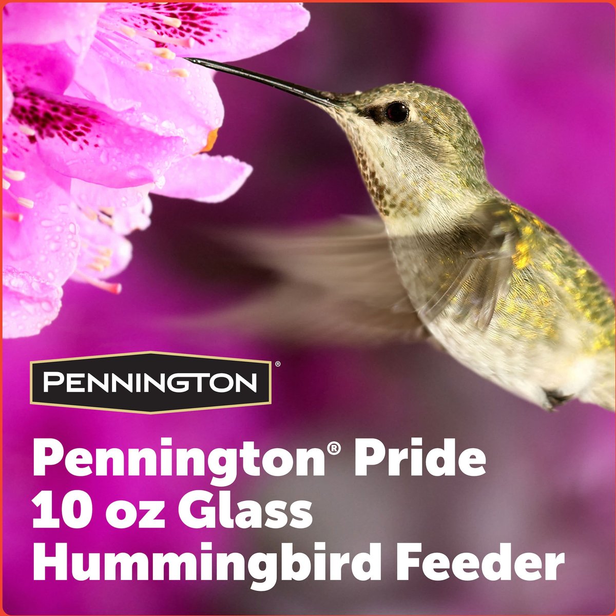 Pennington Pride Glass Hummingbird Feeder