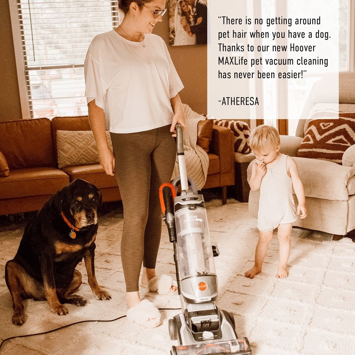 Hoover Maxlife High Performance Swivel Dog and Cat Vacuum， Black， X-Large