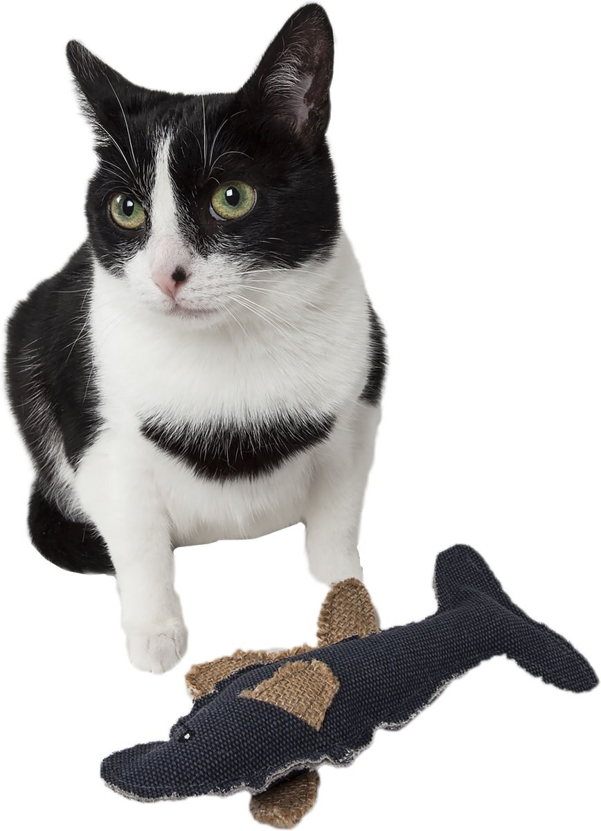 Pet Life Durable Fish Plush Cat Toy with Catnip， Black