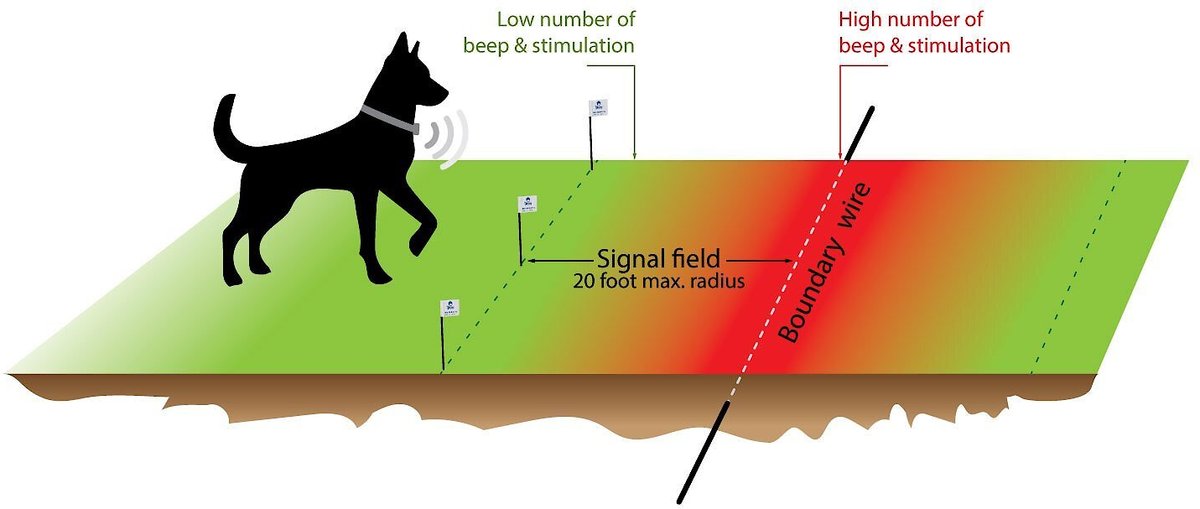 Extreme Dog Fence Pro Grade Electronic Dog Fence System