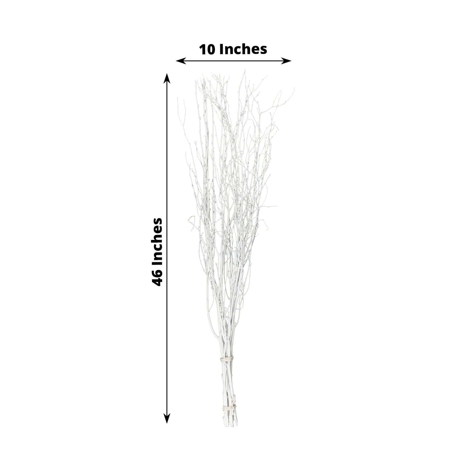 6 Pack White Decorative Birch Tree Branches, Extra Long Natural Dried Willow Twigs Sticks Vase Fillers - 46