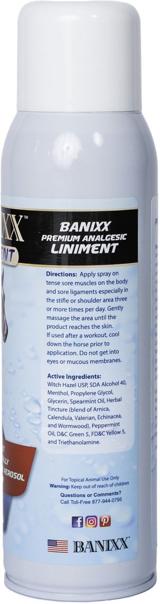 Banixx Premium Liniment Horse First Aid， 13.2-oz bottle