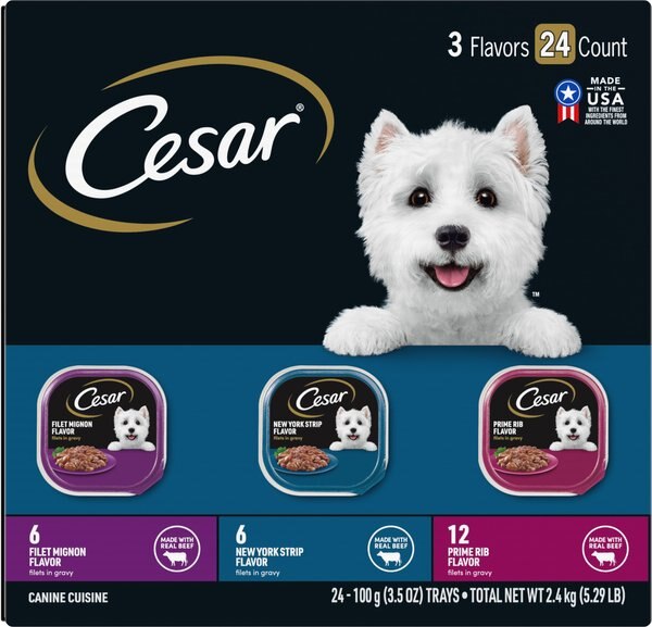 Cesar Filets in Gravy Beef Flavors Variety Pack Dog Food， 3.5-oz tray， case of 24