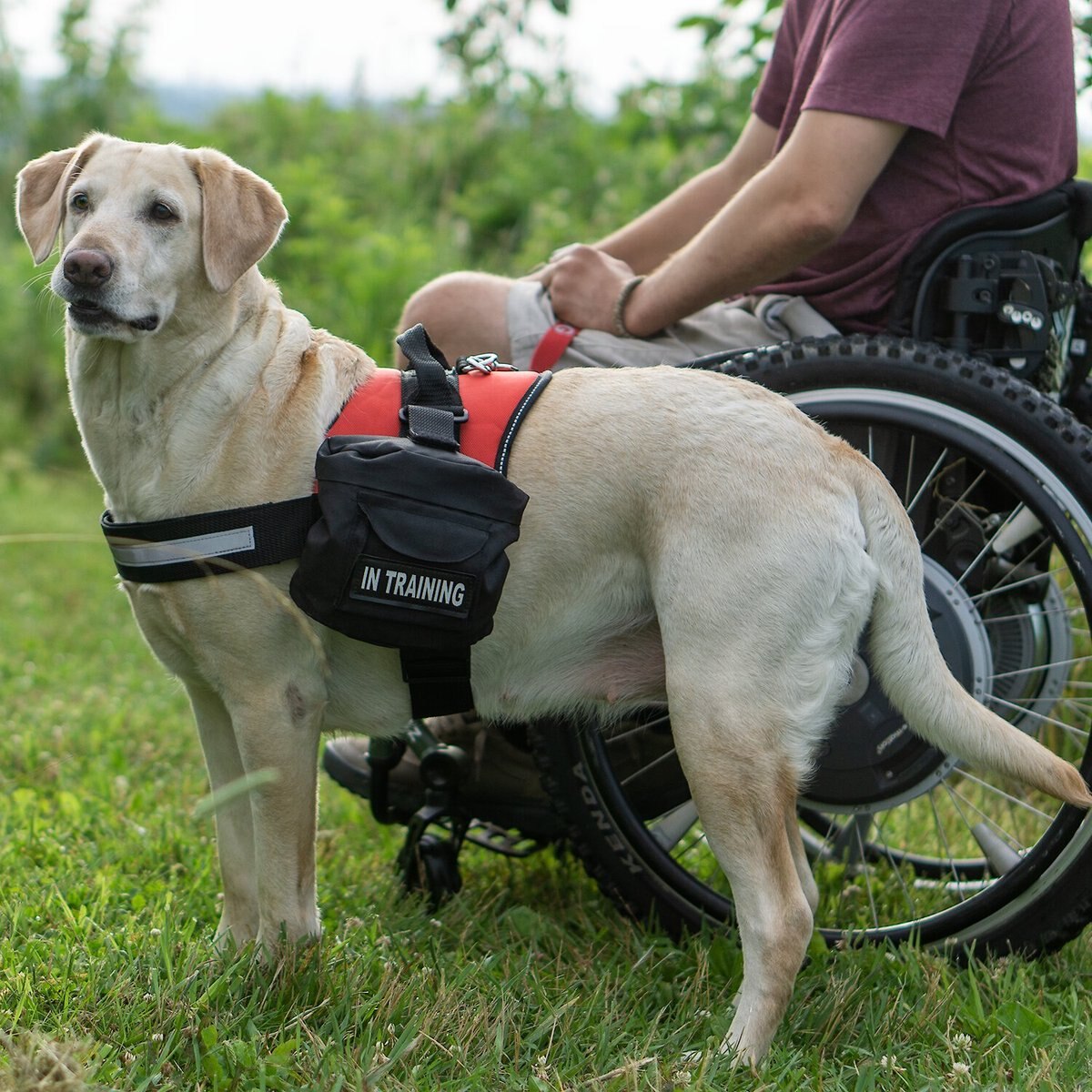 Industrial Puppy Do Not Pet Dog Harness Backpacks