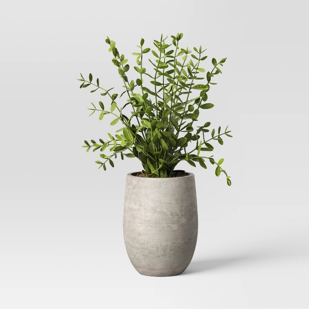 Privet Artificial Plant Designed With Studio Mcgee