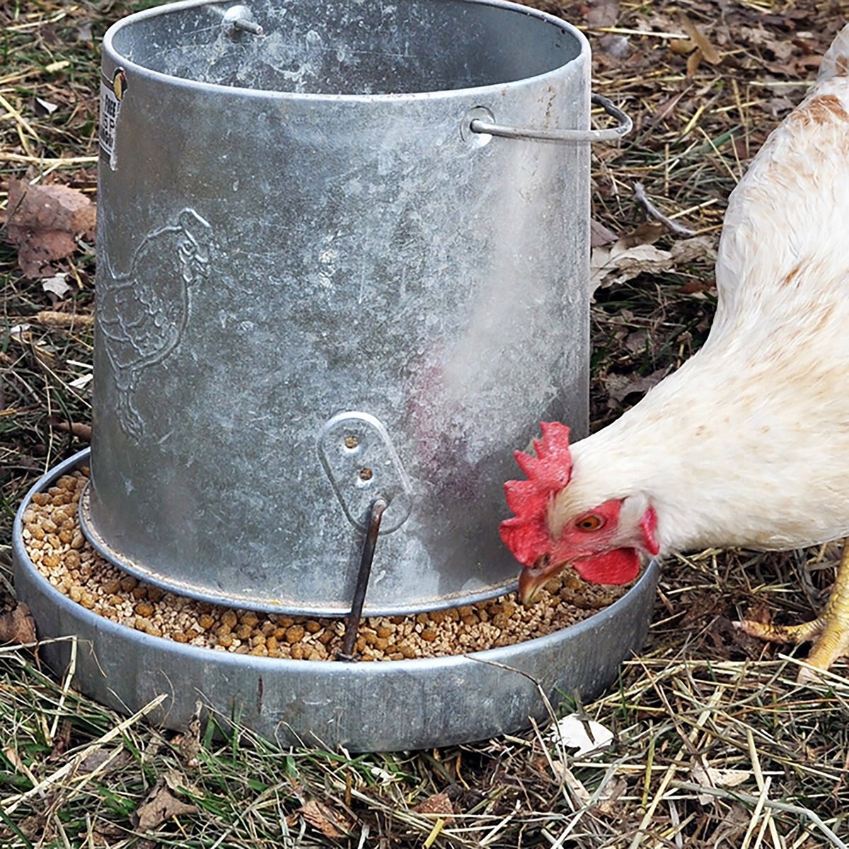 Farmers' Helper UltraKibble Poultry Treats