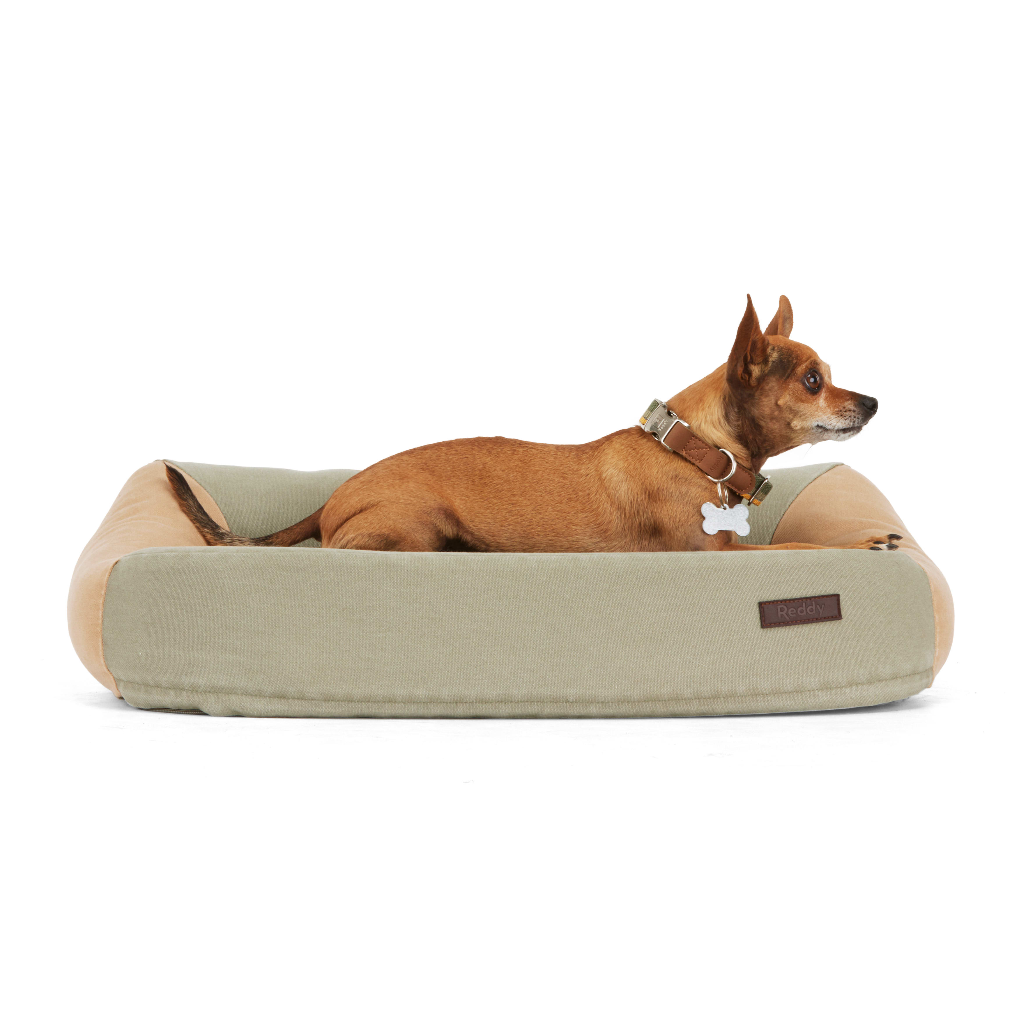 Reddy Olive and Tan Colorblock Dog Bed， 26