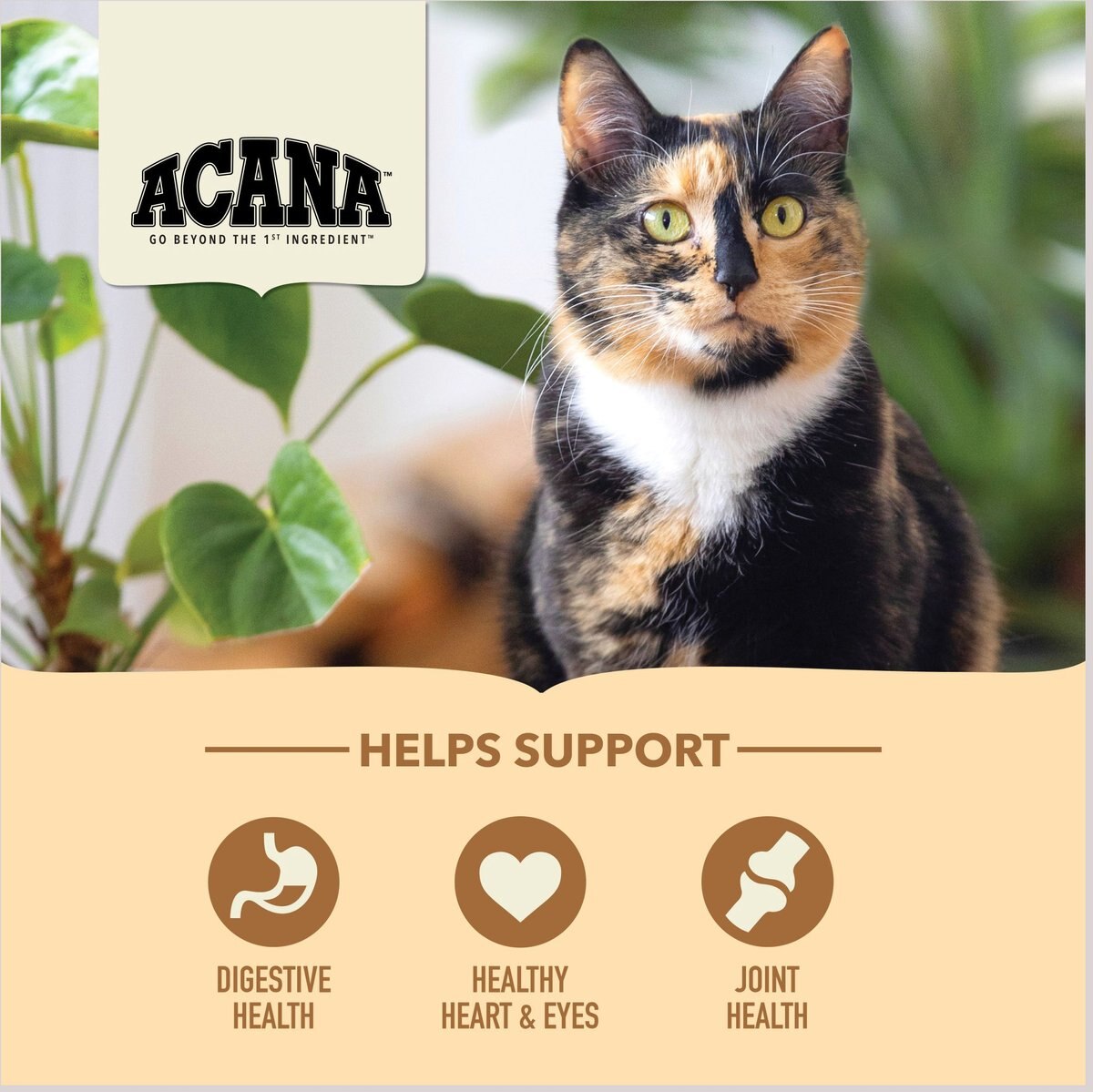 ACANA Senior Entrée Free-Run Chicken and Turkey Dry Cat Food