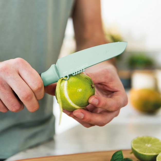 Stainless Steel Vegetable Knife With Zester