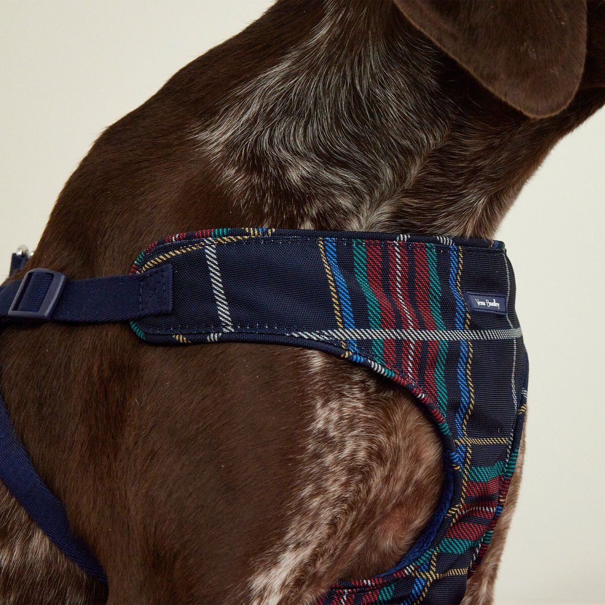 Vera Bradley Cat and Dog Harness， Tartan Plaid