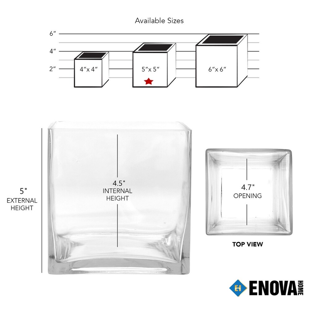 Enova Home Square Shape Clear Glass Vase For Home Garden Decoration