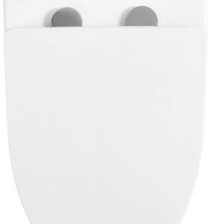 FUNKOL 16 in. Rough-In 1-piece 1.11.6 GPF Dual Flush Elongated Toilet in White Seat Included 21S09lyp01-GW