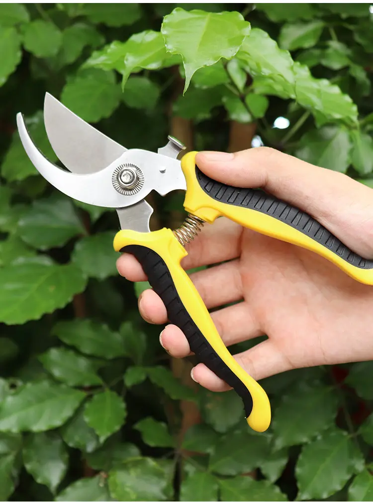 Stainless steel multi functional gardening branch  Garden scissors  Pruning scissors fruit branch scissor