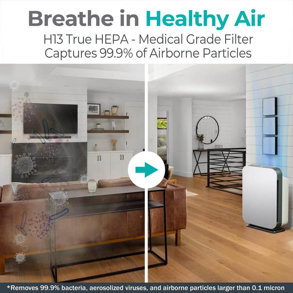 Alen BreatheSmart FIT50 Air Purifier with Pure True HEPA Filter for Allergens Dust Mold and Germs  900 SqFt