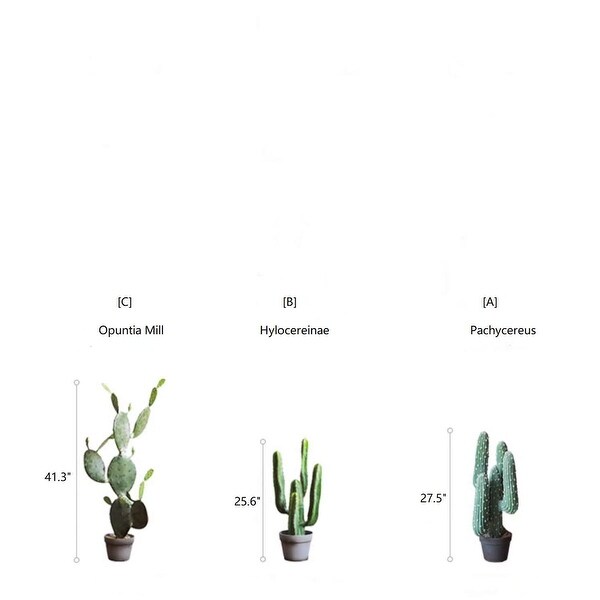 RusticReach Artificial Cactus in Pot Various Styles