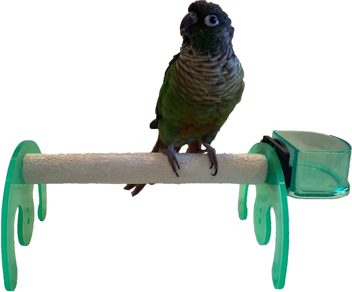 Polly's Pet Products Mini Bird Stand， Green