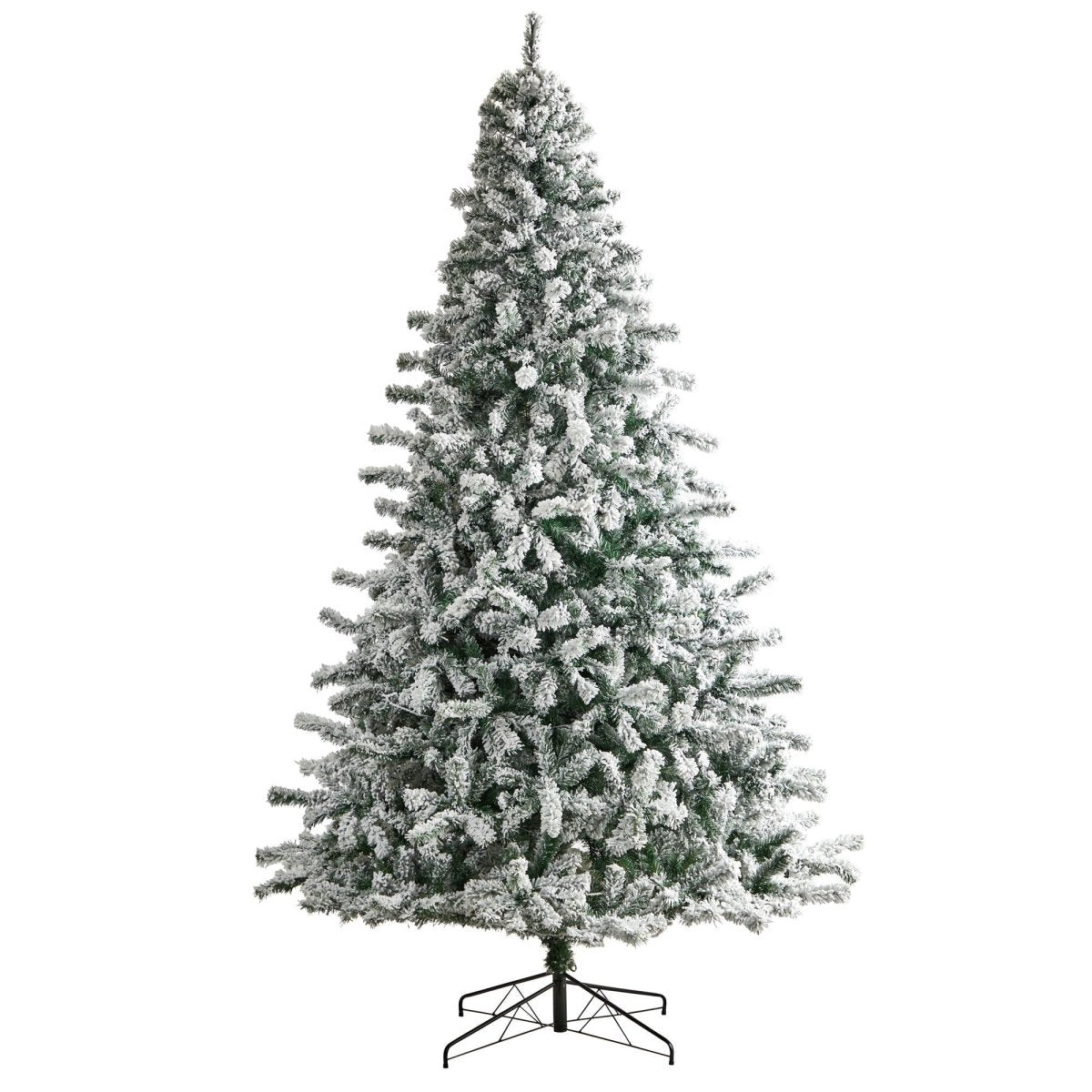 10' Flocked Rock Springs Spruce Christmas Tree with 800 LED Lights