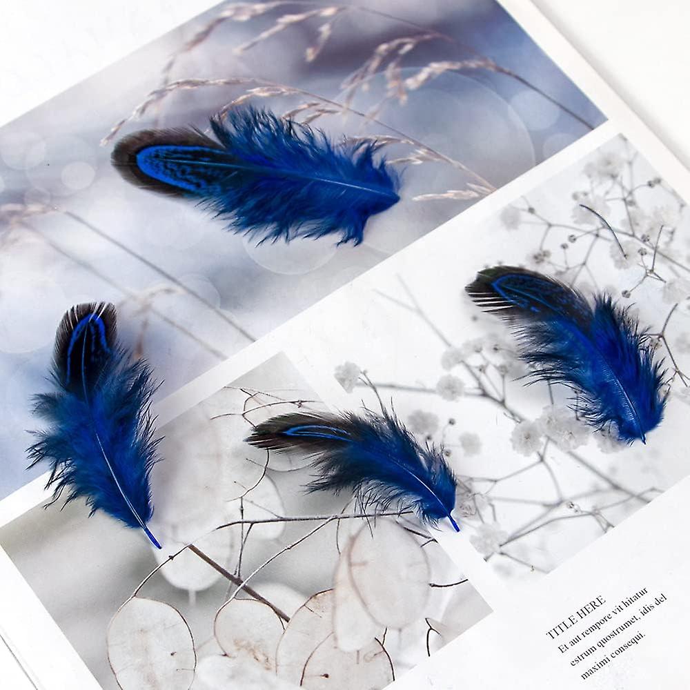 100 Pcs 2-3 Inch Royal Blue Pheasant Feathers Bulk Various Colors Natural Feather Crafts Clothing Hat Sewing Decorating