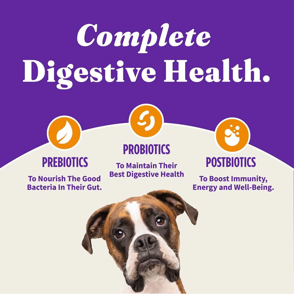 Halo Holistic Complete Digestive Health Grain-Free Chicken and Sweet Potato Dog Food Recipe Adult Dry Dog Food