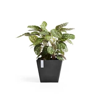 O ECOPOTS BY TPC Rotterdam 16 in. Dark Grey Premium Sustainable Planter ROT.40.DG