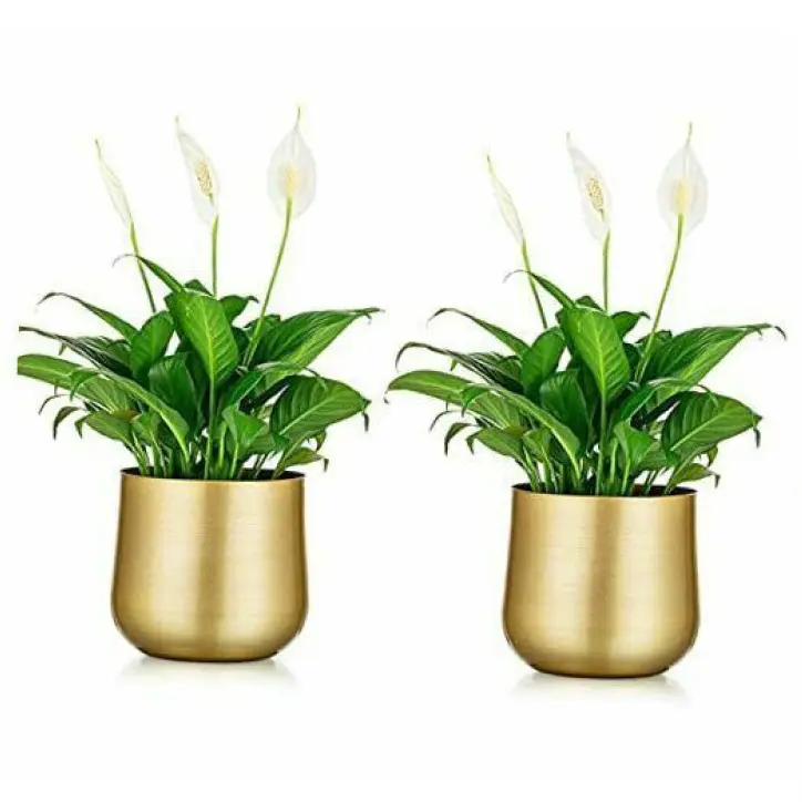 Small Size Classic Design Metal Planter Home Indoor Outdoor Garden Usage Customized Size Metal Planter Manufacture by India