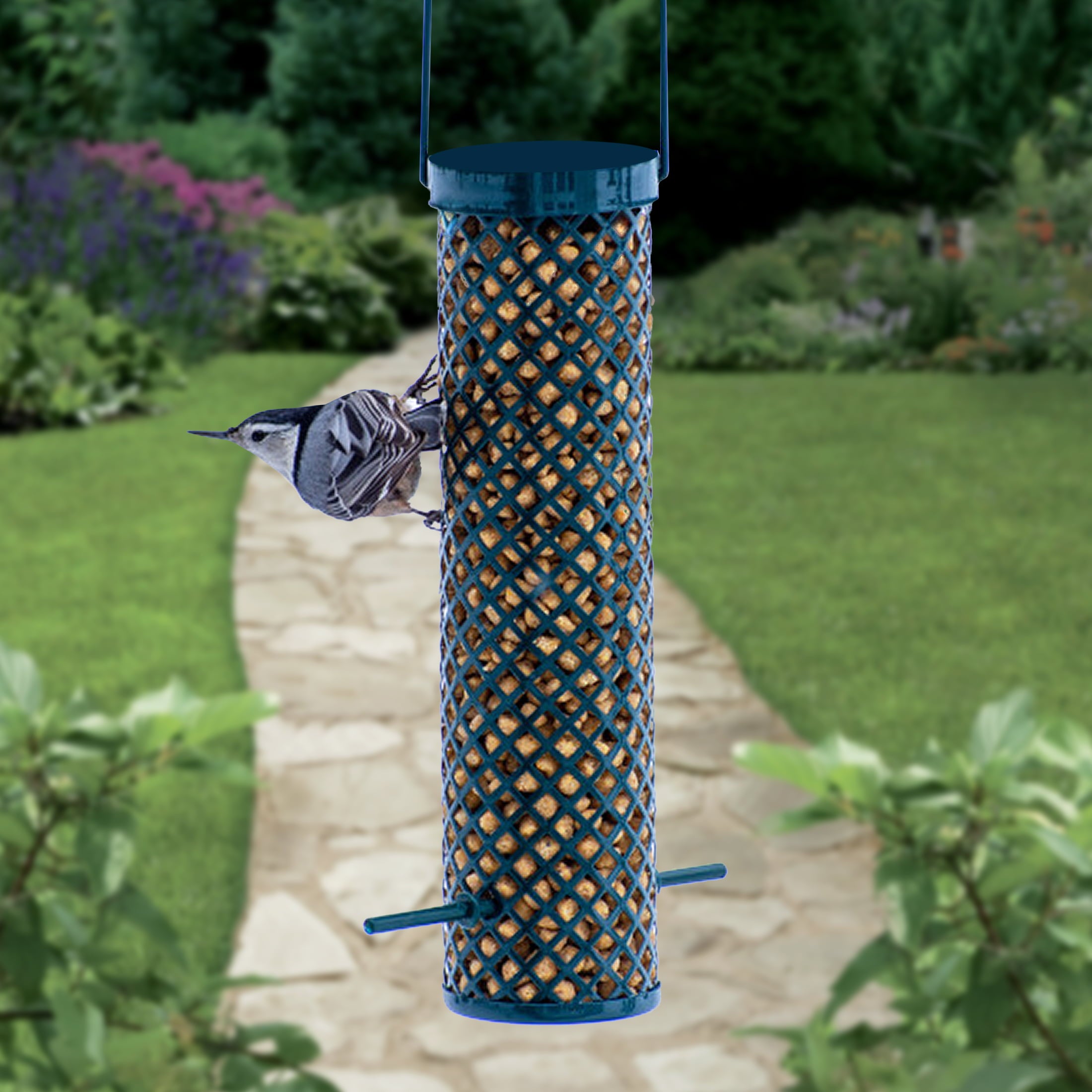 CandS Products Green Wire Suet Nugget or Ball Wild Bird Suet Feeder