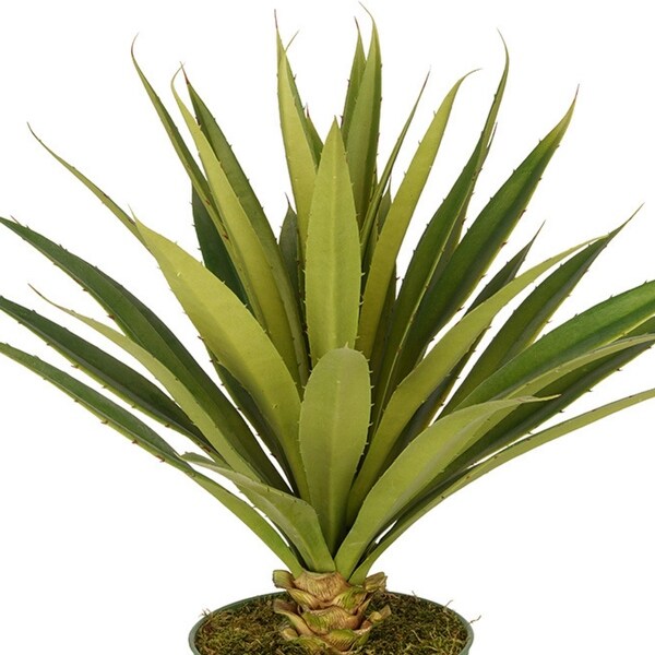 Faux Spike Yucca Plant