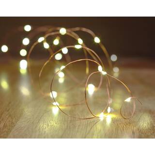 Hampton Bay OutdoorIndoor 16 ft. Battery Powered Micro LED Copper Wire Fairy String Light (3-Pack) NXT-1010(3pk)